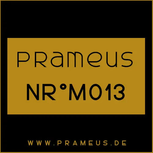 Nr°M013 Inspiriert von: Armani Privé - Ambre Eccentrico