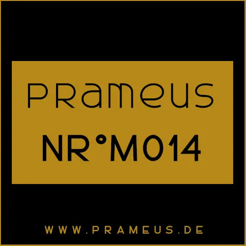 Nr°M014 Inspiriert von: Orto Parisi - Megamare