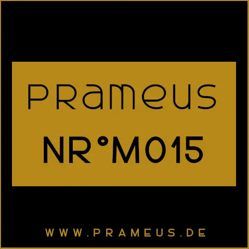 Nr°M015 Inspiriert von: Paco Rabanne - Invictus Intense