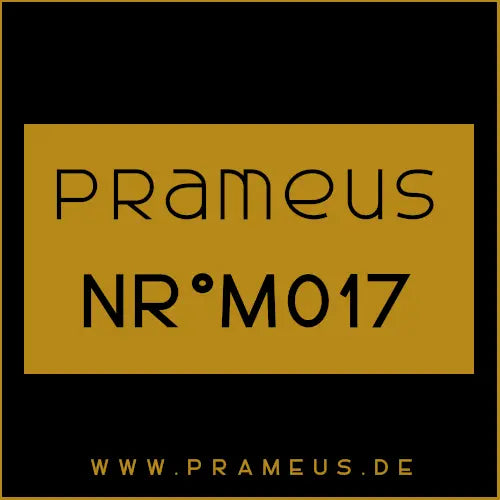 Nr°M017 Inspiriert von: Paco Rabanne - Invictus