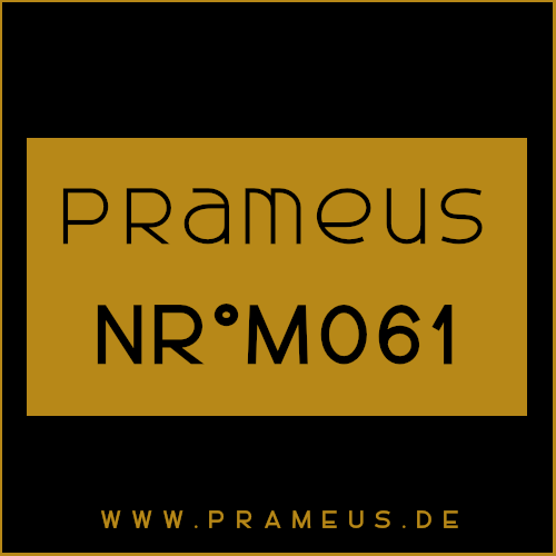 Nr°M061 Inspiriert von: Paco Rabanne - Black XS