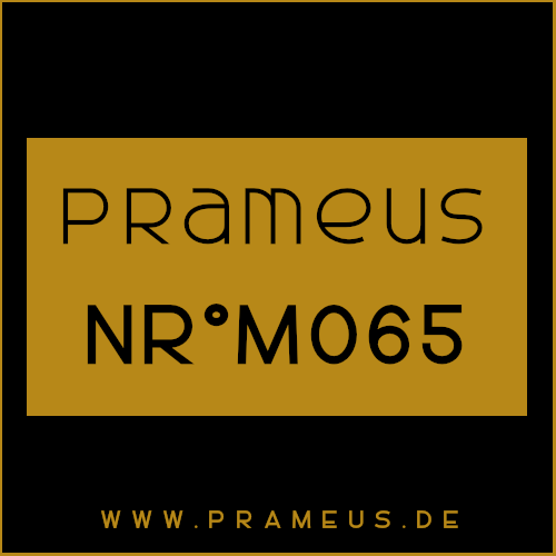Nr°M065 Inspiriert von: Ralph Lauren - Polo Blue