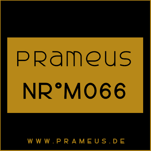 Nr°M066 Inspiriert von: Ralph Lauren - Polo Black