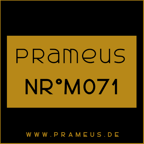 Nr°M071 Inspiriert von: Prada - Luna Rossa Carbon homme