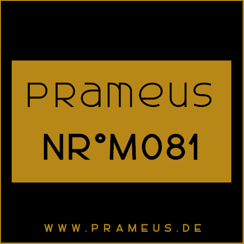 Nr°M081 Inspiriert von: Nasomatto - Fantomas