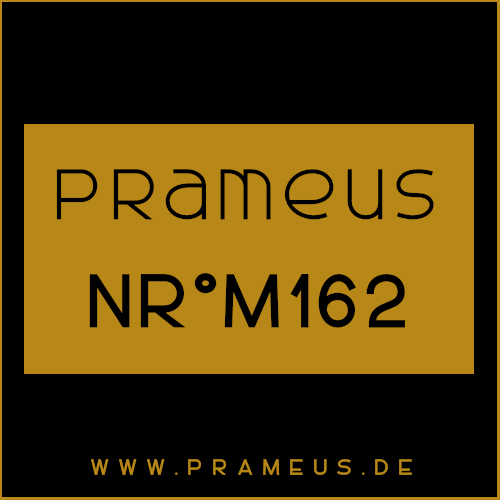 Nr°M162 Inspiriert von: Chanel - Égoiste Platinum