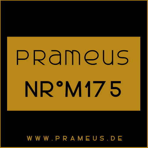 Nr°M175 Inspiriert von: Paco Rabanne - Phantom