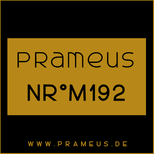 Nr°M192 Inspiriert von: Creed - Viking