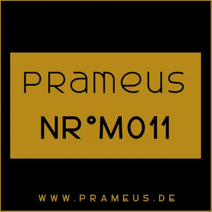 Nr°M011 Inspiriert von: Armani Privé - Oud Royal