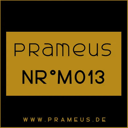 Nr°M013 Inspiriert von: Armani Privé - Ambre Eccentrico