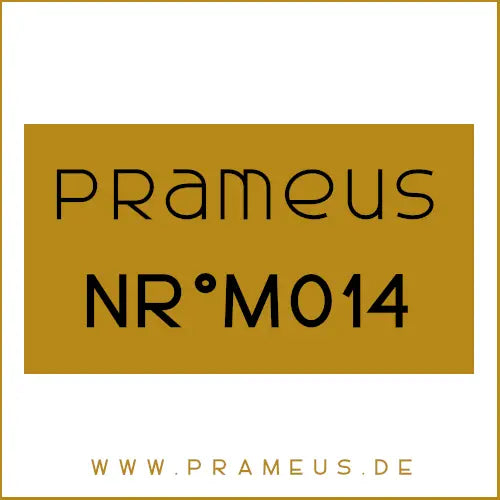 Nr°M014 Inspiriert von: Orto Parisi - Megamare