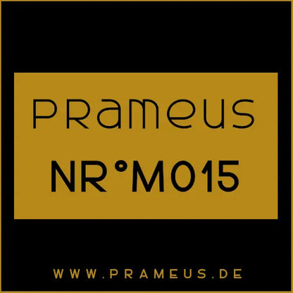 Nr°M015 Inspiriert von: Paco Rabanne - Invictus Intense