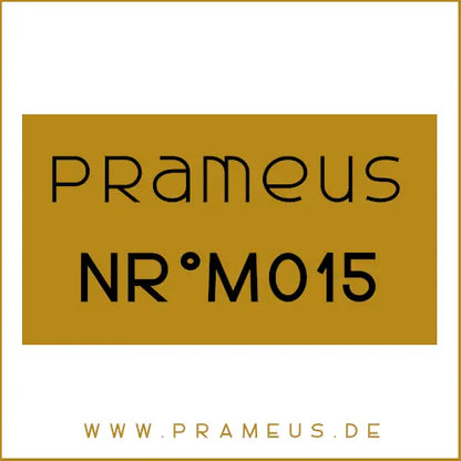 Nr°M015 Inspiriert von: Paco Rabanne - Invictus Intense
