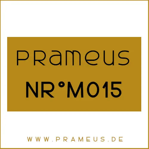 Nr°M015 Inspiriert von: Paco Rabanne - Invictus Intense