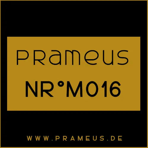 Nr°M016 Inspiriert von: Paco Rabanne - Invictus Aqua