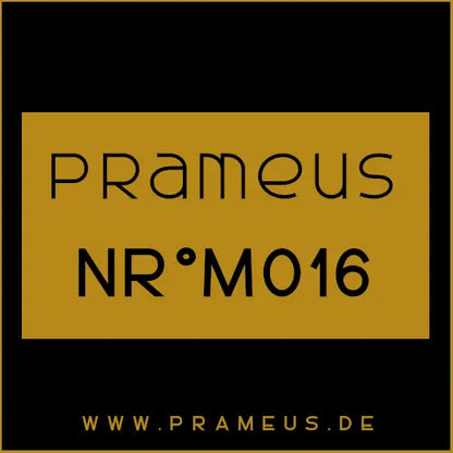 Nr°M016 Inspiriert von: Paco Rabanne - Invictus Aqua