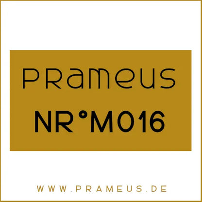 Nr°M016 Inspiriert von: Paco Rabanne - Invictus Aqua