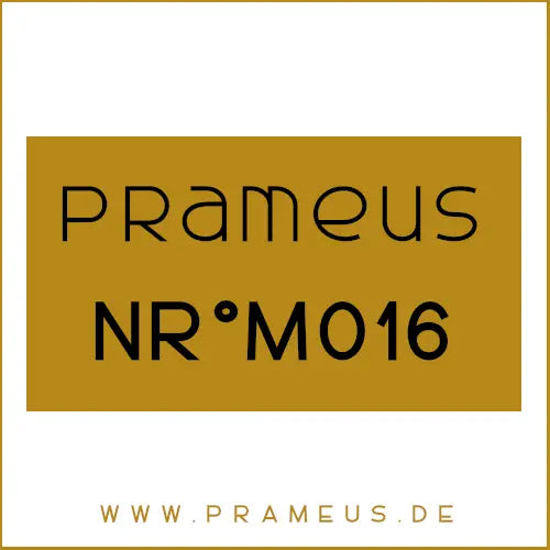 Nr°M016 Inspiriert von: Paco Rabanne - Invictus Aqua