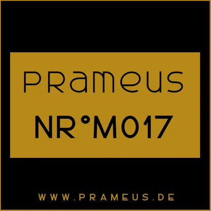 Nr°M017 Inspiriert von: Paco Rabanne - Invictus