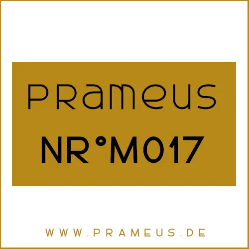 Nr°M017 Inspiriert von: Paco Rabanne - Invictus