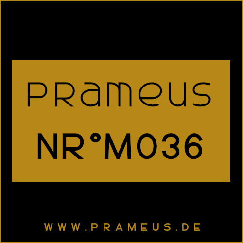 Nr°M036 Inspiriert von: Amouage - Reflection Man