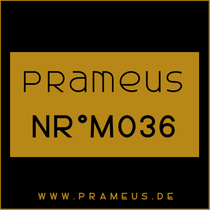Nr°M036 Inspiriert von: Amouage - Reflection Man