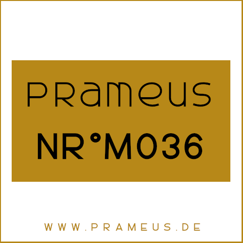 Nr°M036 Inspiriert von: Amouage - Reflection Man