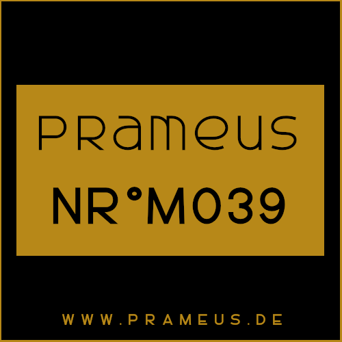 Nr°M039 Inspiriert von: Amouage - Dia Man