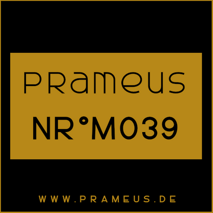 Nr°M039 Inspiriert von: Amouage - Dia Man