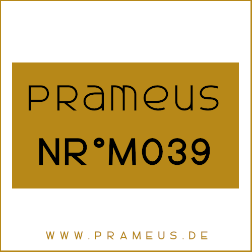 Nr°M039 Inspiriert von: Amouage - Dia Man