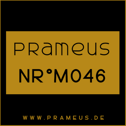 Nr°M046 Inspiriert von: Louis Vuitton - California Dream
