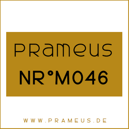 Nr°M046 Inspiriert von: Louis Vuitton - California Dream