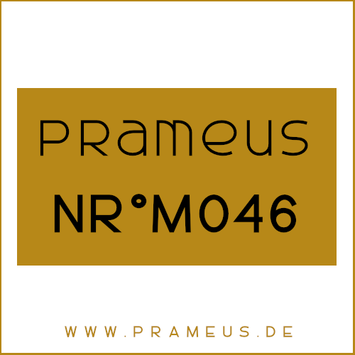 Nr°M046 Inspiriert von: Louis Vuitton - California Dream