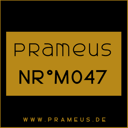 Nr°M047 Inspiriert von: Louis Vuitton - City of Stars
