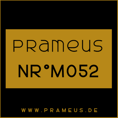 Nr°M052 Inspiriert von: Aramis - Devin