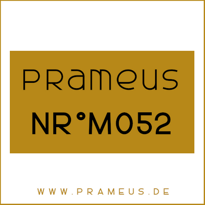 Nr°M052 Inspiriert von: Aramis - Devin