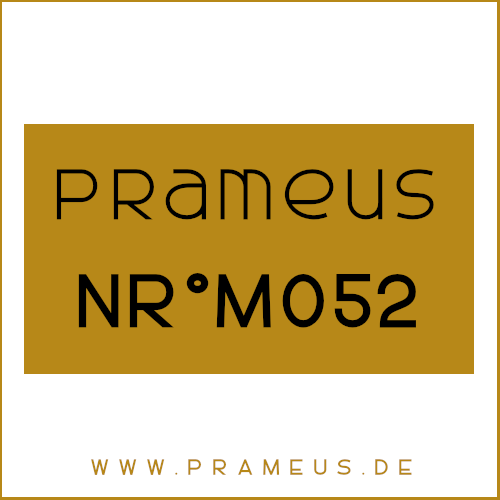 Nr°M052 Inspiriert von: Aramis - Devin