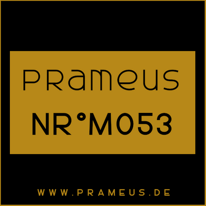 Nr°M053 Inspiriert von: Amouage - Interlude Man
