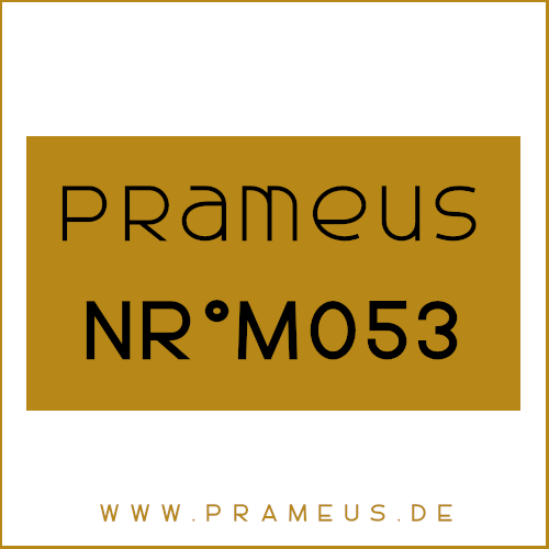 Nr°M053 Inspiriert von: Amouage - Interlude Man