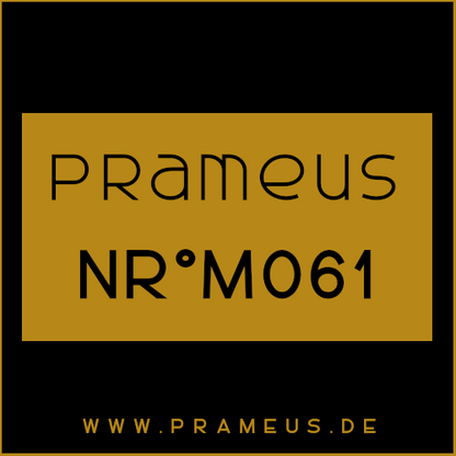 Nr°M061 Inspiriert von: Paco Rabanne - Black XS