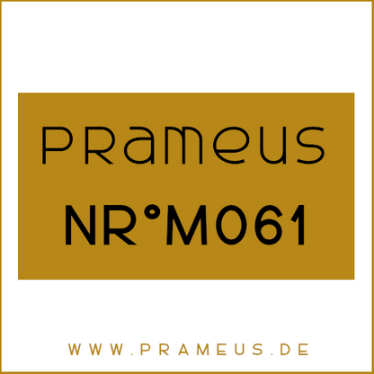 Nr°M061 Inspiriert von: Paco Rabanne - Black XS