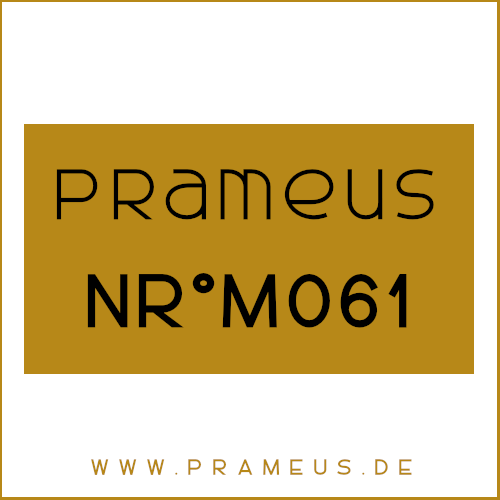 Nr°M061 Inspiriert von: Paco Rabanne - Black XS