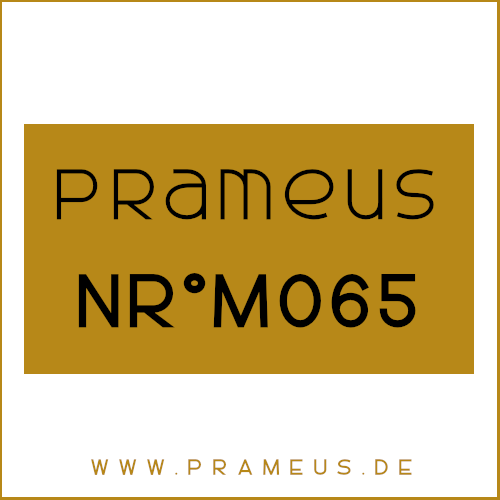 Nr°M065 Inspiriert von: Ralph Lauren - Polo Blue