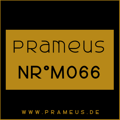 Nr°M066 Inspiriert von: Ralph Lauren - Polo Black