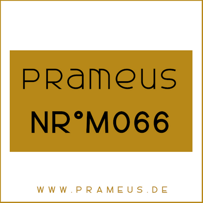 Nr°M066 Inspiriert von: Ralph Lauren - Polo Black
