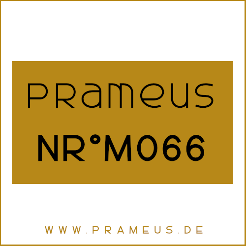 Nr°M066 Inspiriert von: Ralph Lauren - Polo Black