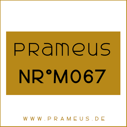 Nr°M067 Inspiriert von: Roja Dove - Amber Aoud