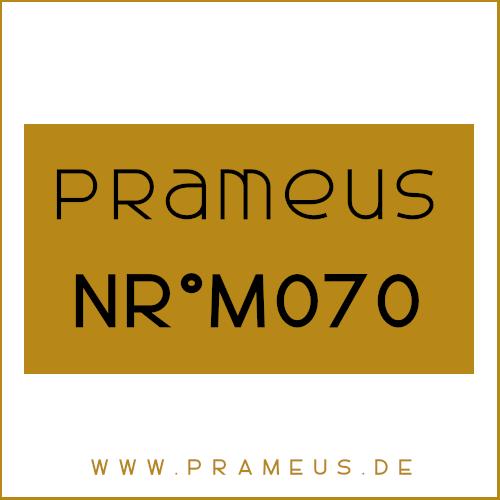 Nr°M070 Inspiriert von: Prada - Luna Rossa Black