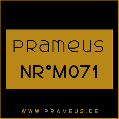 Nr°M071 Inspiriert von: Prada - Luna Rossa Carbon homme