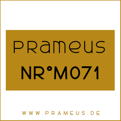 Nr°M071 Inspiriert von: Prada - Luna Rossa Carbon homme